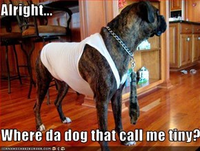Alright...      Where da dog that call me tiny?