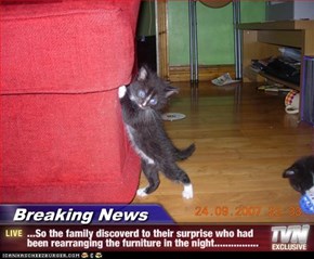 Breaking News - ...So the family discoverd to their surprise who had been rearranging the furniture in the night................