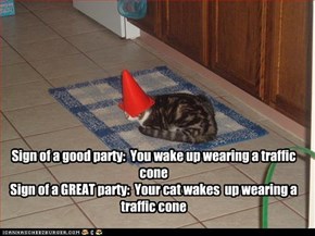 Sign of a good party:  You wake up wearing a traffic cone Sign of a GREAT party:  Your cat wakes  up wearing a traffic cone