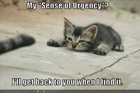 My "Sense of Urgency"?  I'll get back to you when I find it.
