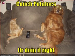 Couch Potatoes  Ur doin it right