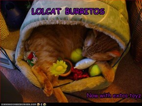 Lolcat burritos