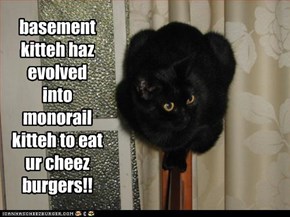basement kitteh haz evolved into monorail kitteh to eat ur cheez burgers!!