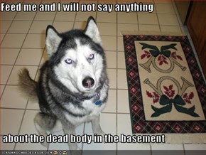 Feed me and I will not say anything   about the dead body in the basement