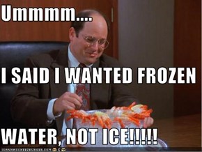 Ummmm.... I SAID I WANTED FROZEN  WATER, NOT ICE!!!!!