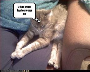 Iz has warm lap to sweep on