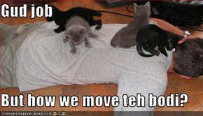 Gud job  But how we move teh bodi?