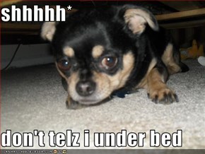 shhhhh*  don't telz i under bed