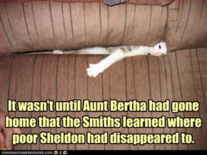 It wasn't until Aunt Bertha had gone home that the Smiths learned where poor Sheldon had disappeared to.