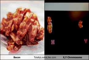Bacon Totally Looks Like X,Y Chromosome