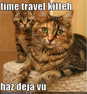 time travel kitteh  haz deja vu