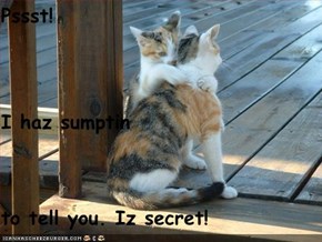 Pssst! I haz sumptin to tell you. Iz secret!