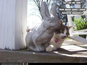 So,  can we talk?  How about some catnip flavored  bunnies?