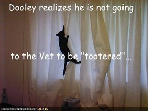 Dooley realizes he is not going to the Vet to be "tootered"...