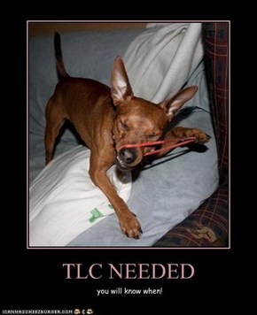 TLC NEEDED