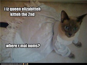 i iz queen elizabitteh kitteh the 2nd
