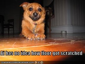 Ai has no idea how floor got scratched