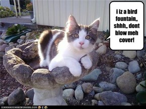 i iz a bird fountain,, shhh,, dont blow meh cover!
