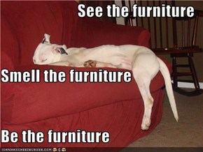 See the furniture Smell the furniture Be the furniture