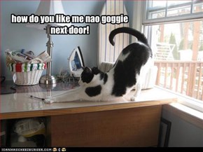 how do you like me nao goggie next door!