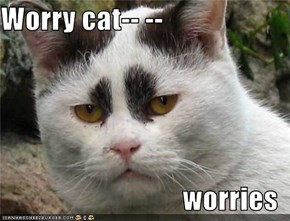 Worry cat-- --                                  worries
