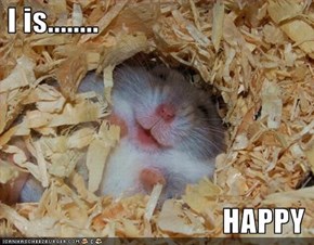 I is........                                      HAPPY