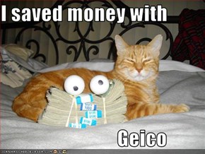 I saved money with                                Geico