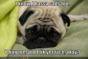 I know, I hassa sads too.  U hug me, and I lik yer face, okay?