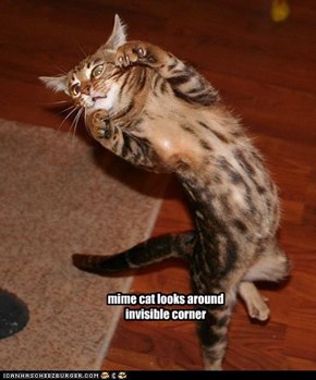 mime cat looks around invisible corner