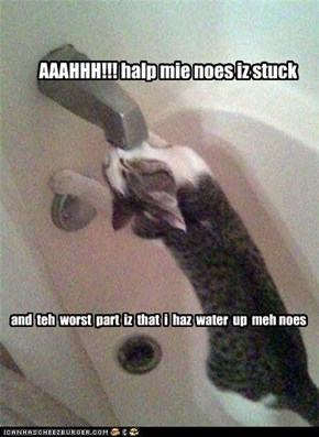 mie noes iz stuck