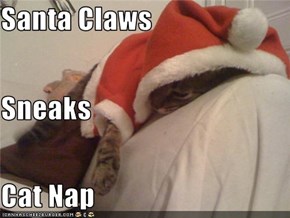 Santa Claws  Sneaks  Cat Nap