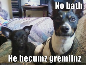 No bath  He becumz gremlinz