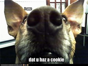 i seez