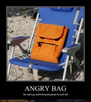 Poor Bag