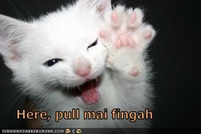 Here, pull mai fingah