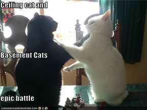 Ceiling cat and Basement Cats epic battle