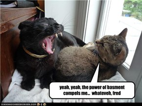 yeah, yeah, the power of basment compels me...  whateveh, fred