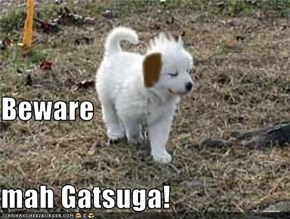 Beware mah Gatsuga!