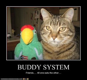 BUDDY SYSTEM