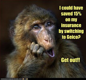 I could have saved 15% on my insurance by switching to Geico?