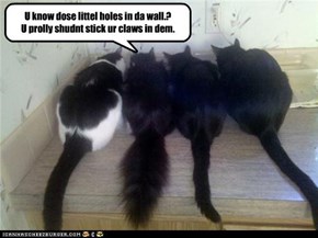 U know dose littel holes in da wall.?   U prolly shudnt stick ur claws in dem.
