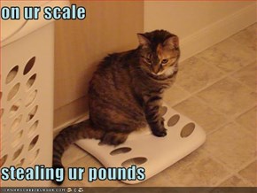 on ur scale   stealing ur pounds