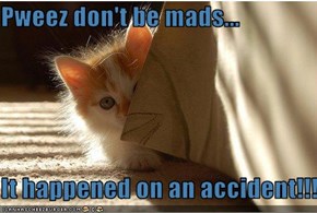 Pweez don't be mads...  It happened on an accident!!!