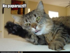 No paparazzi!!