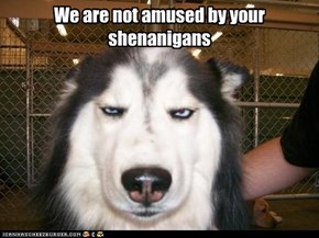 We are not amused by your shenanigans