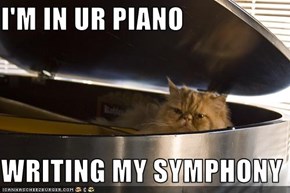 I'M IN UR PIANO  WRITING MY SYMPHONY
