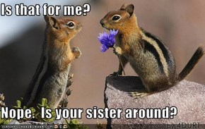 Is that for me?  Nope.  Is your sister around?