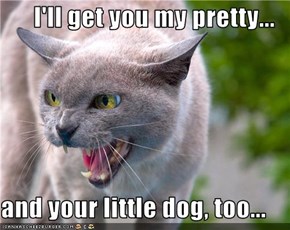 I'll get you my pretty...  and your little dog, too...