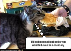 If I had opposable thumbs you wouldn't even be necessary.