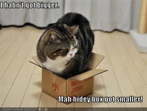 I habn't got bigger.  Mah hidey box got smaller!